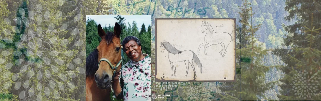 Featured image for “Bold Visions and The Collective”