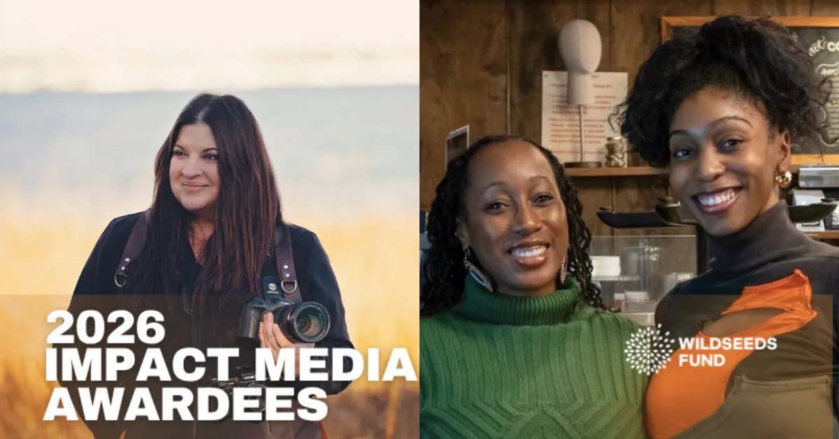 Featured image for “2026 Impact Media Award”